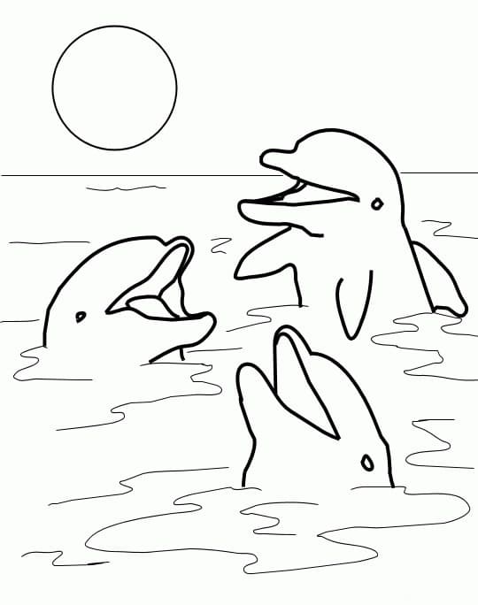 Trois Dauphins coloring page