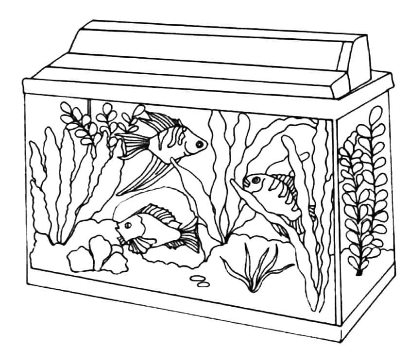 Un Aquarium coloring page