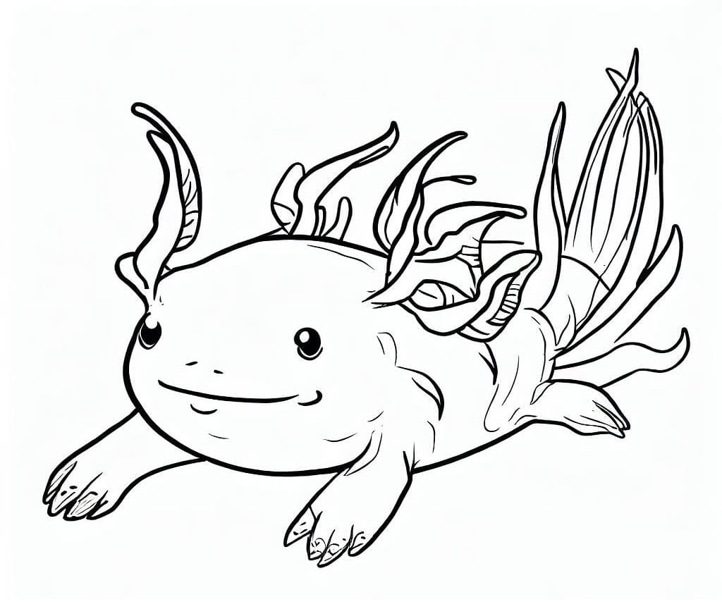 Coloriage Un Petit Axolotl
