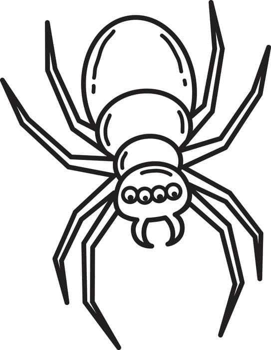 Une Araignée coloring page