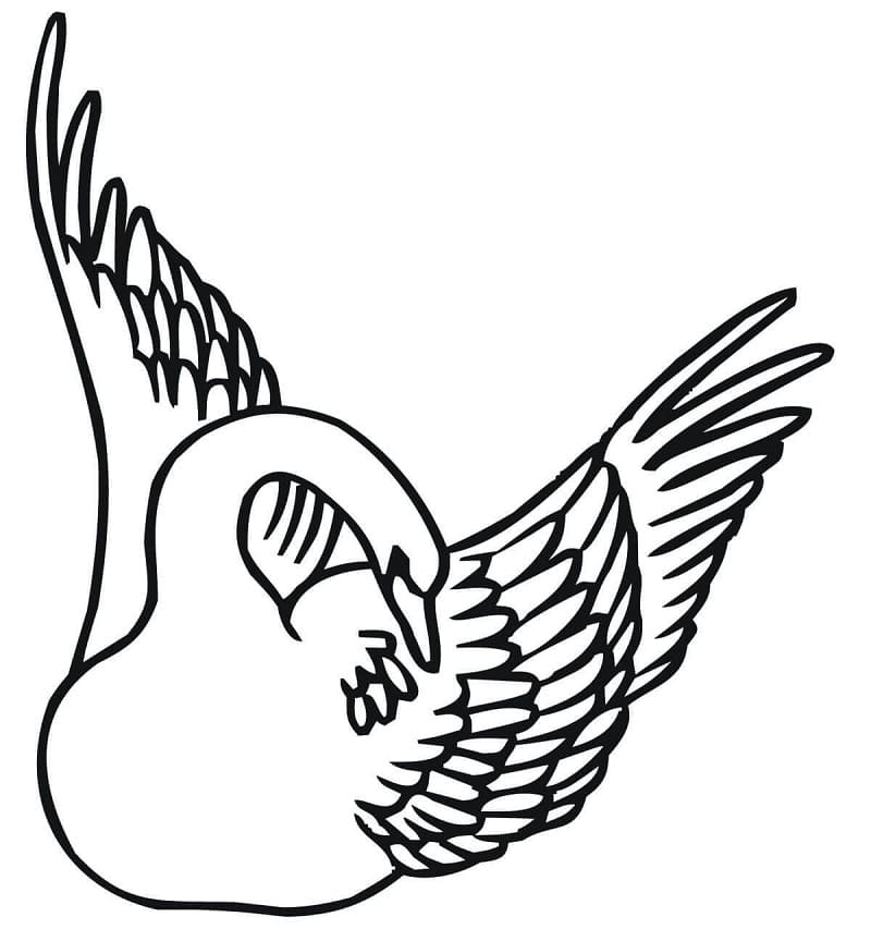 Cygne 2 coloring page