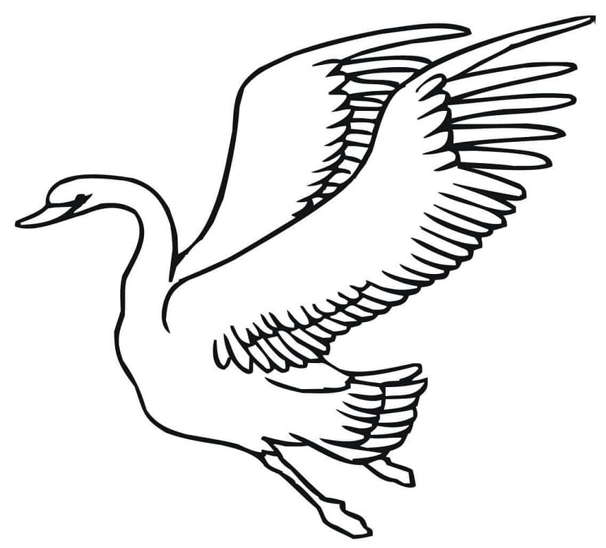 Cygne Volant coloring page