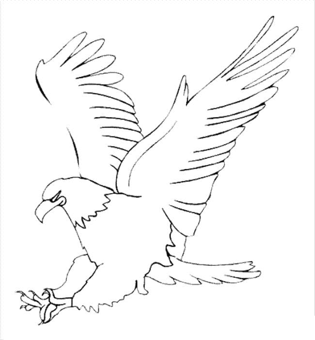 Dessin d’aigle coloring page