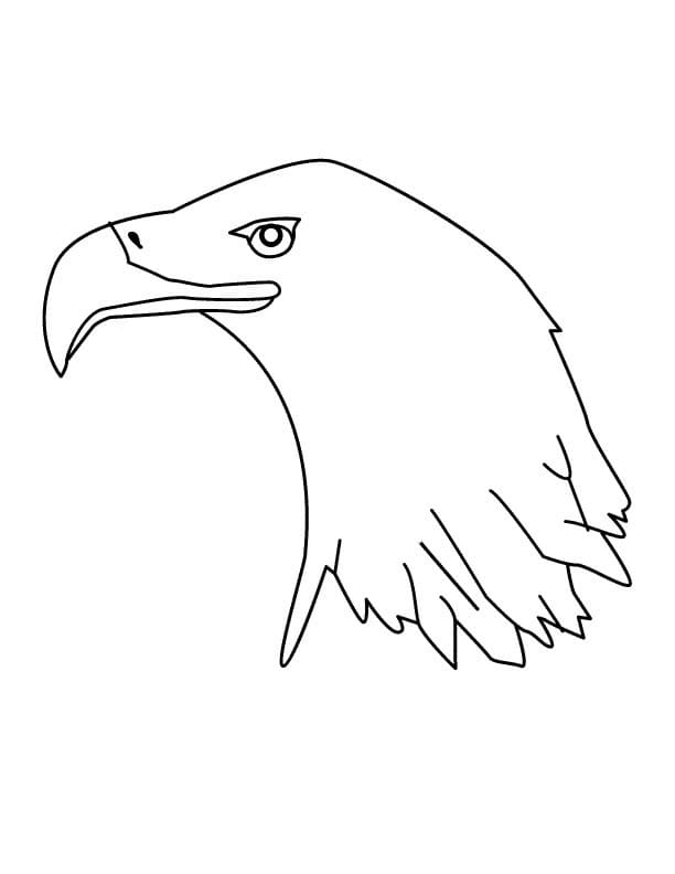 Tête d’aigle coloring page