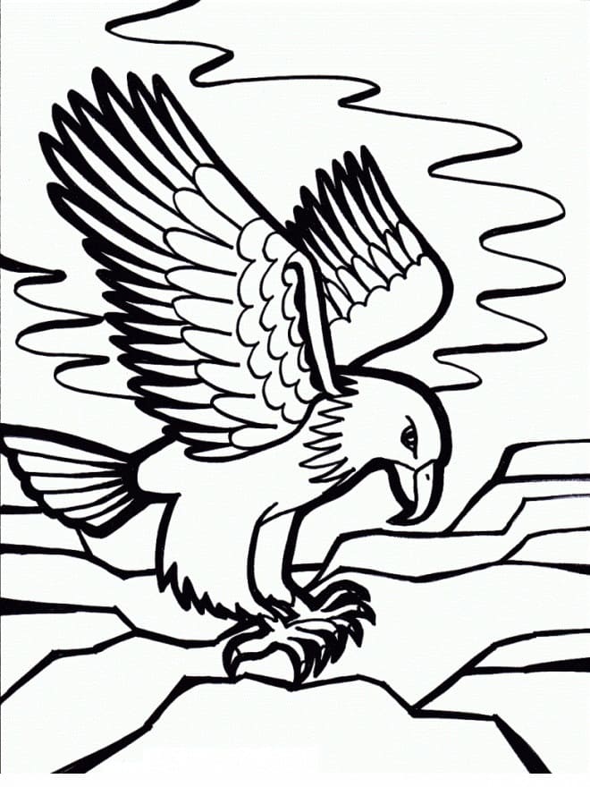 Un Aigle Américain coloring page