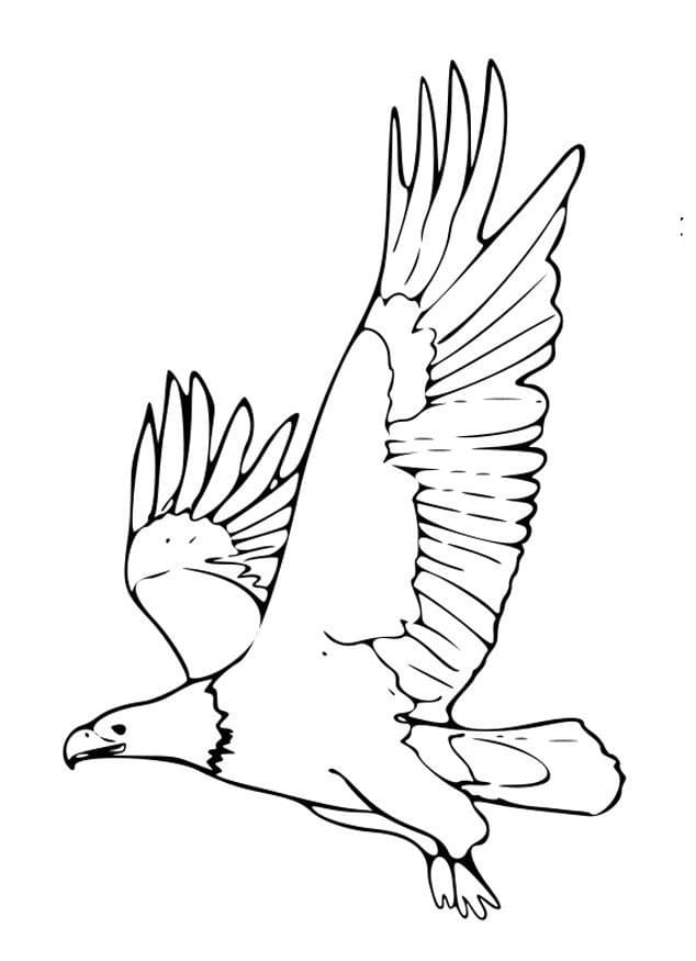 Un Aigle Volant coloring page