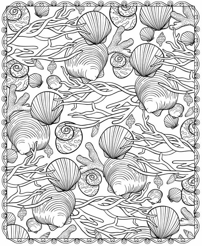 Art des Coquillages coloring page
