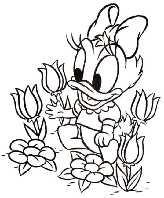 Bébé Daisy Duck coloring page