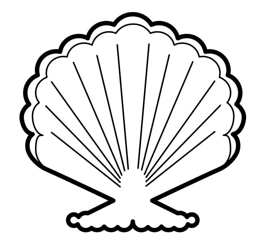 Coquillage Normal coloring page