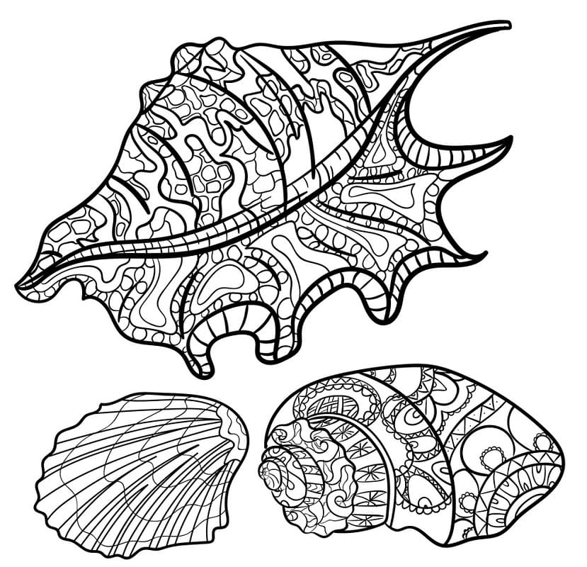 Coquillage Pour Adultes coloring page