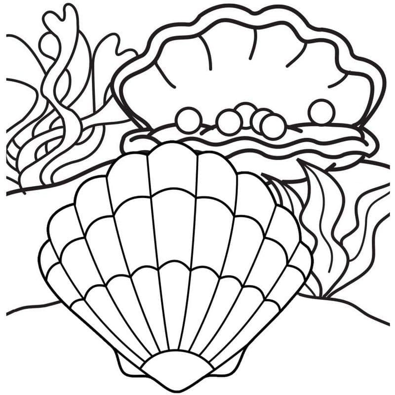 Coquillages et Perles coloring page