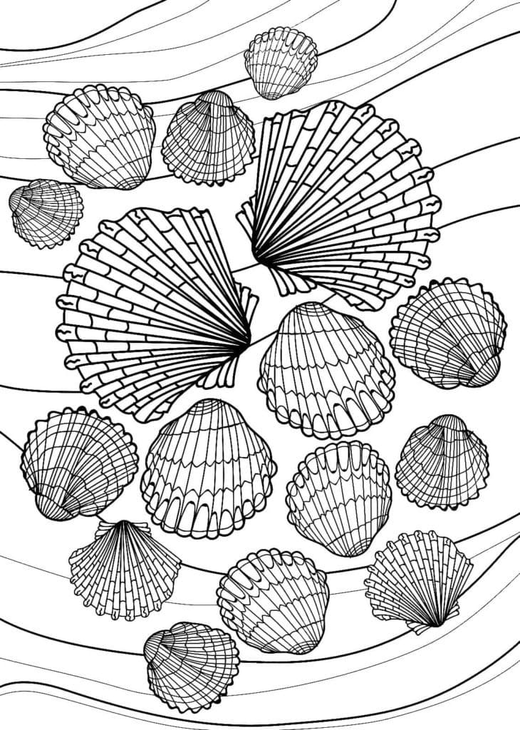 Coquillages étonnants coloring page