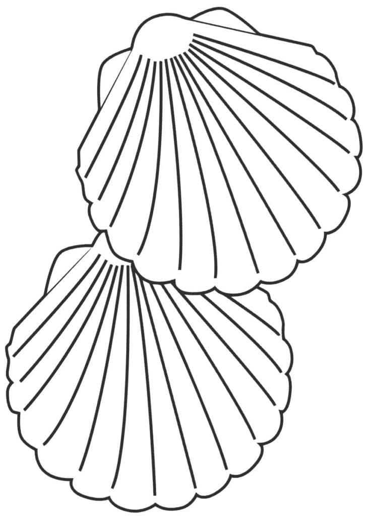 Coquillages Simples coloring page