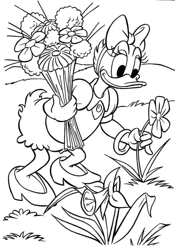 Coloriage Daisy Duck Cueille des Fleurs