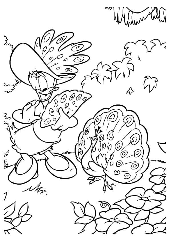 Coloriage Daisy Duck et un Paon
