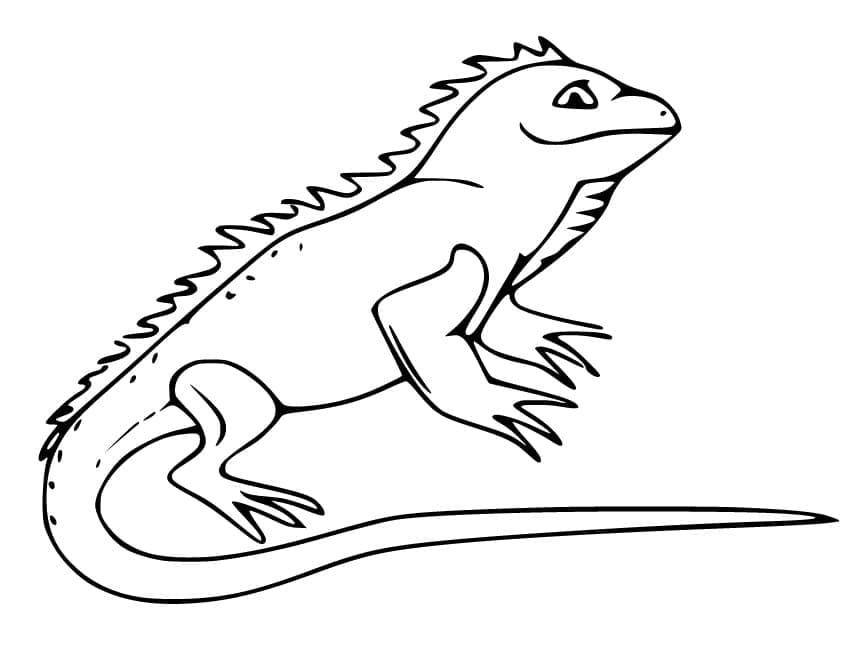 Dessin de Iguane coloring page