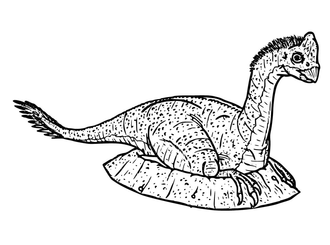 Coloriage Dessin Gratuit de Oviraptor