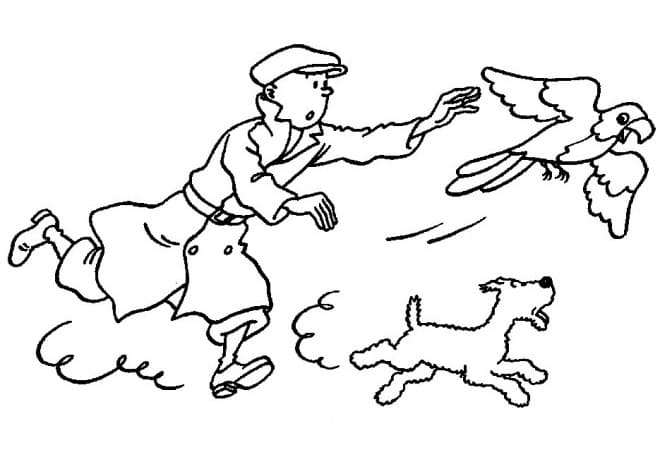 Coloriage Dessin Gratuit de Tintin