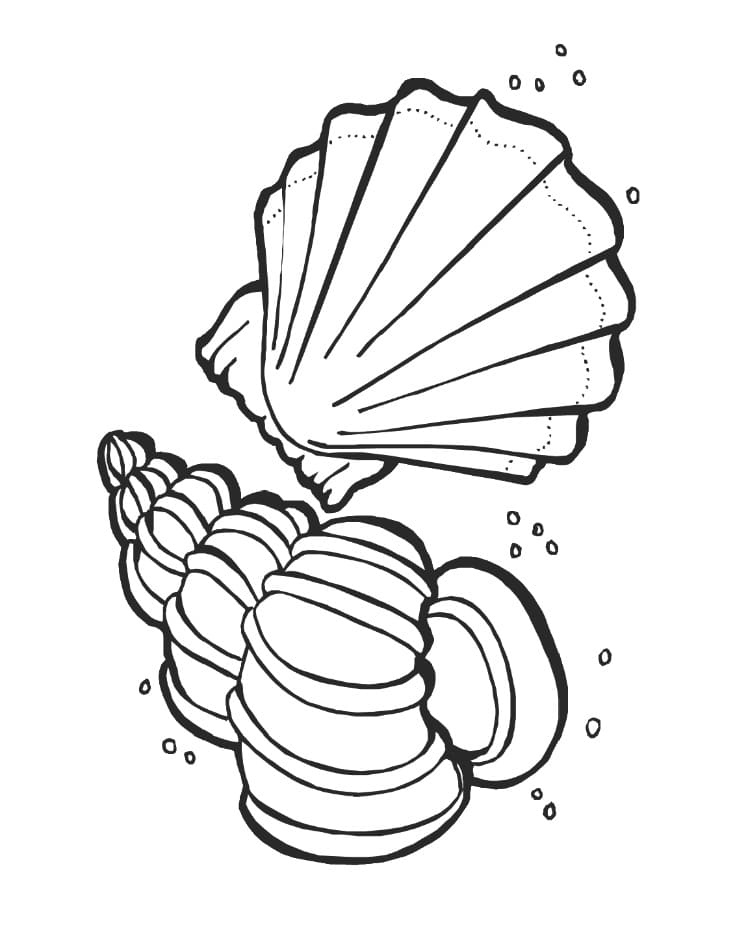 Deux Coquillages coloring page