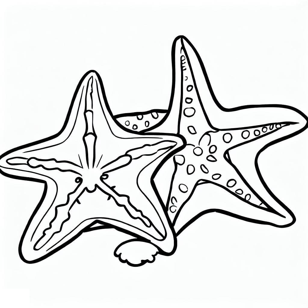 Coloriage Deux Étoiles de Mer