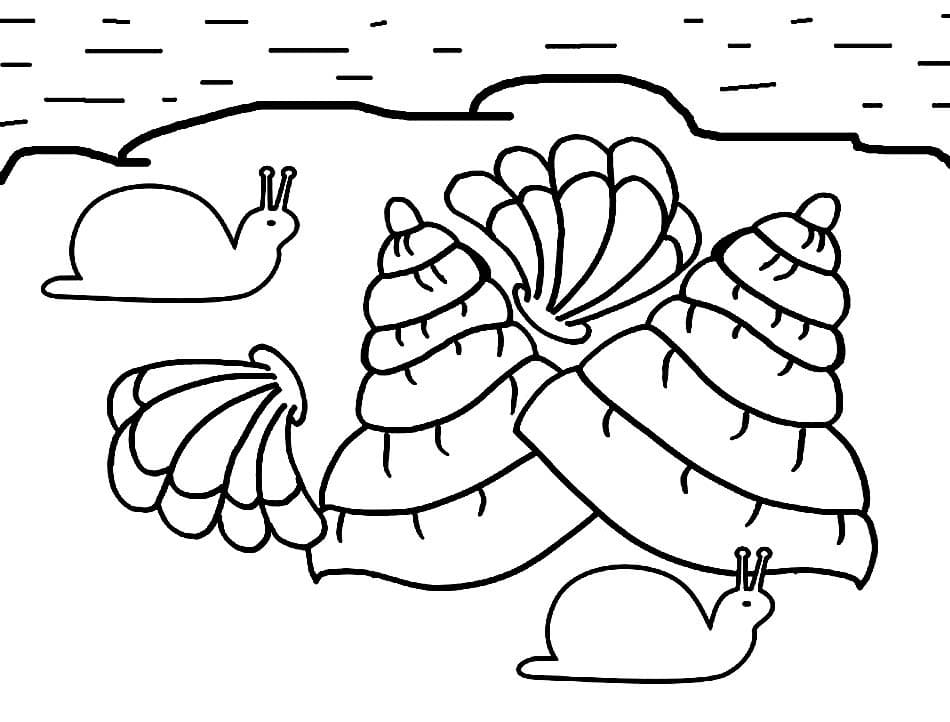 Escargots et Coquillages coloring page