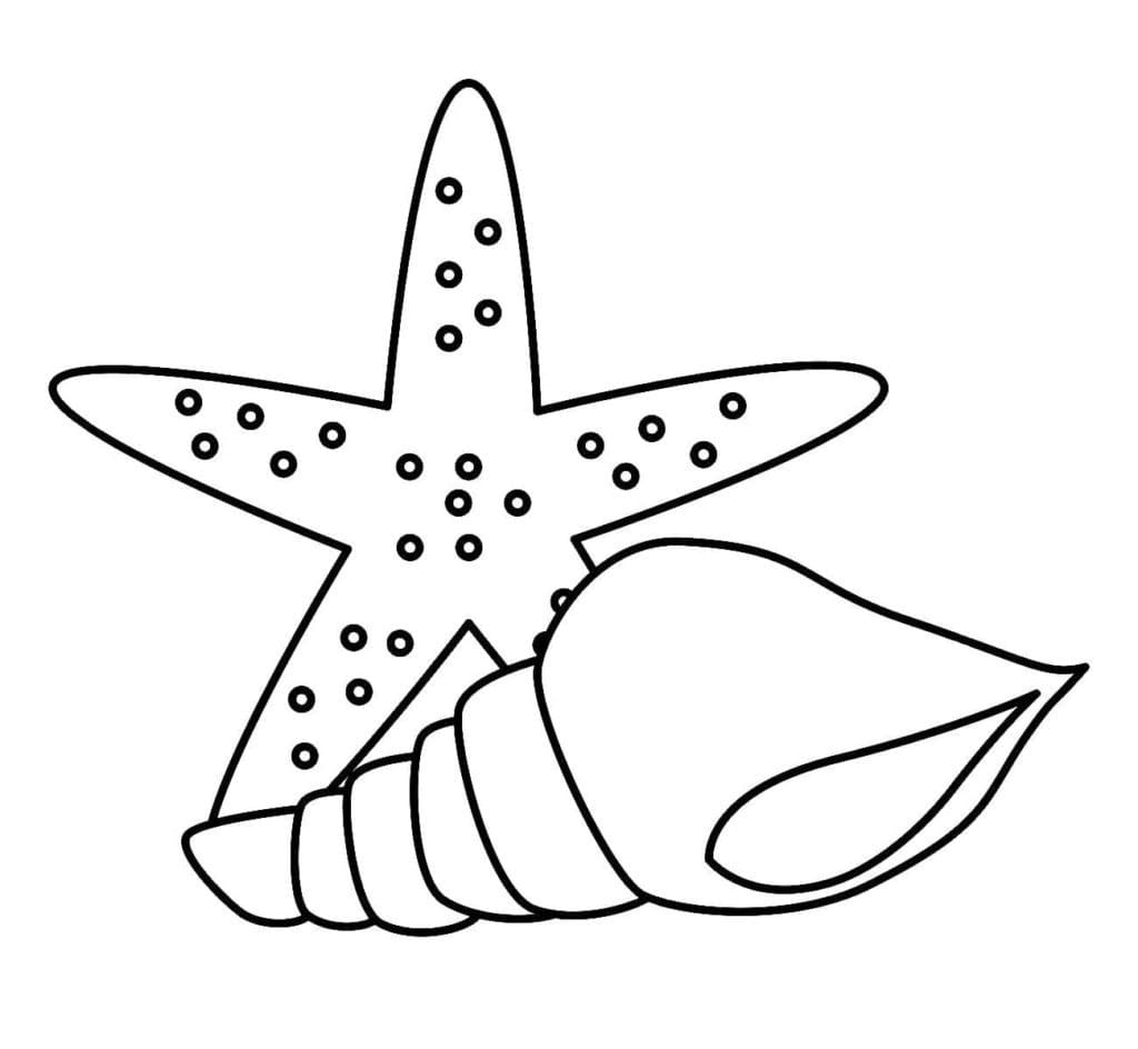 Étoile de Mer et Coquillage coloring page