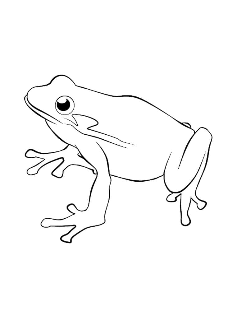 Coloriage Grenouille 1