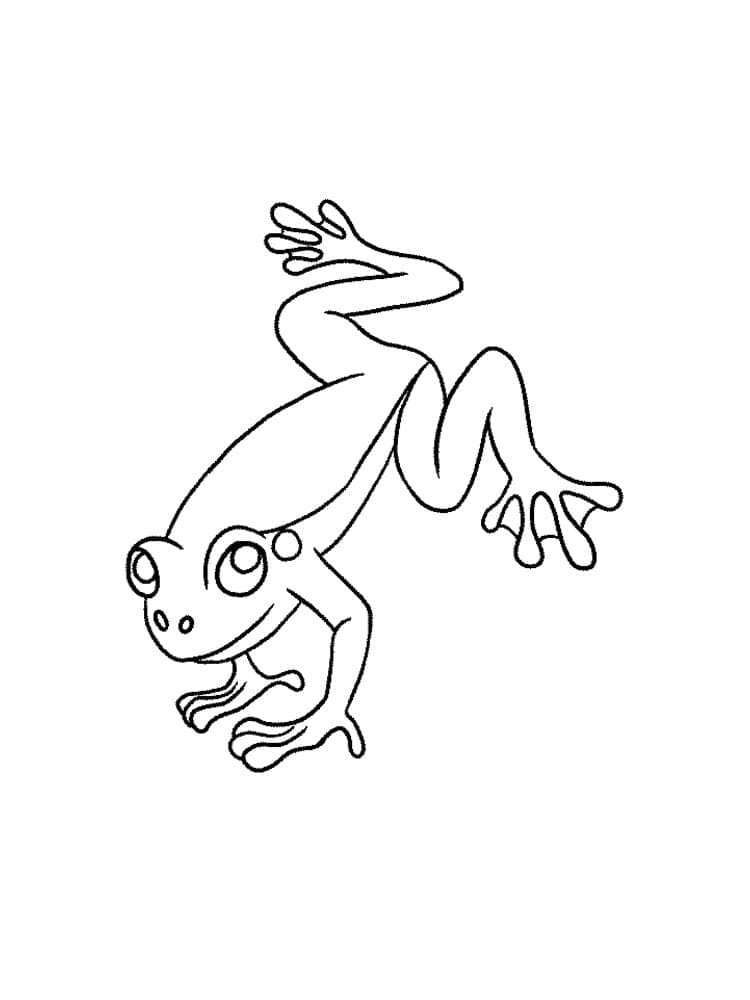 Coloriage Grenouille 2
