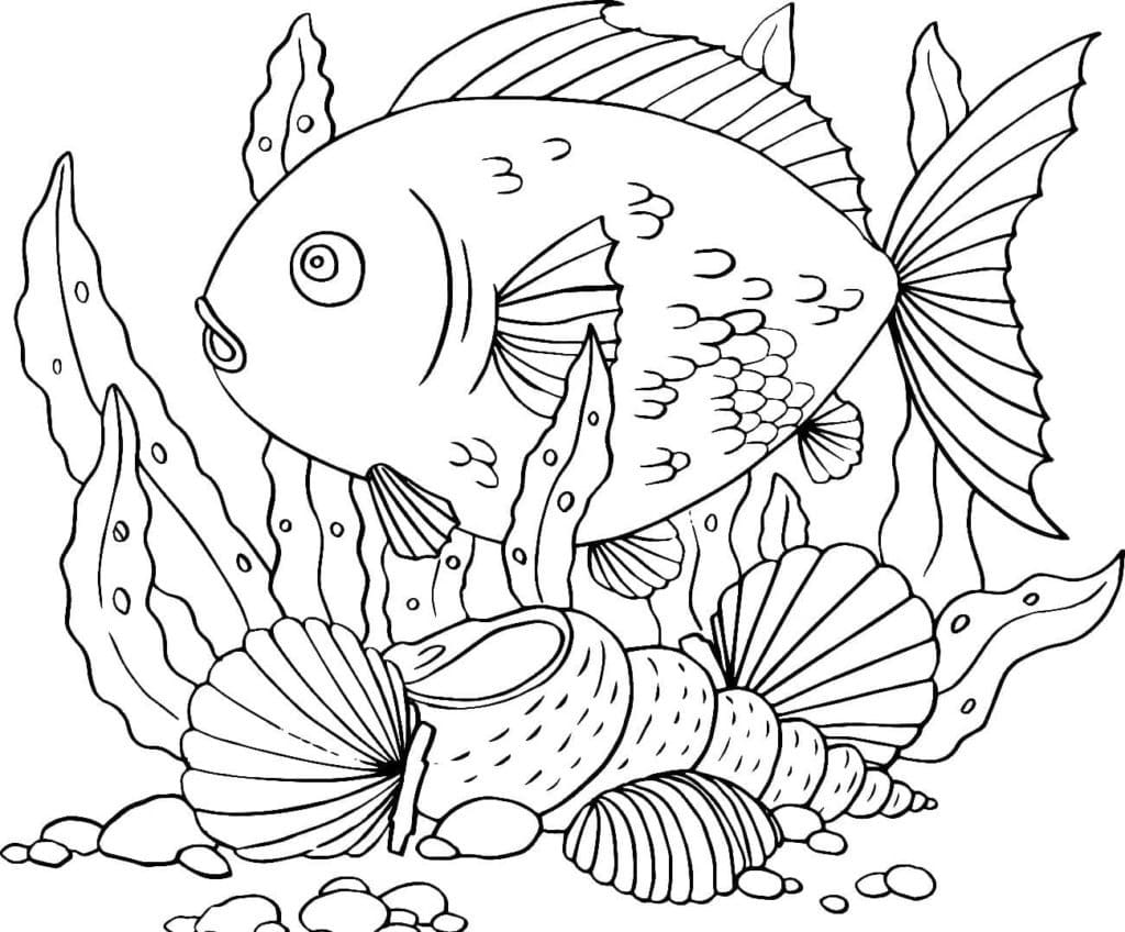 Gros Poisson et Coquillages coloring page