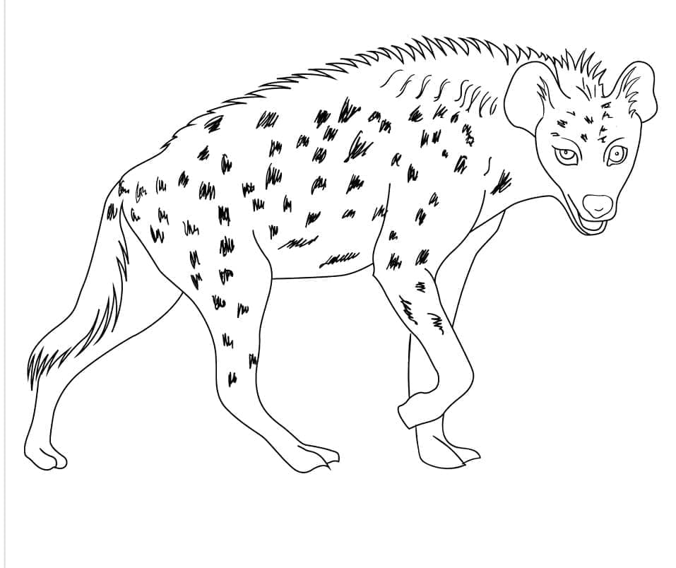 Coloriage Hyène Pour les Enfants