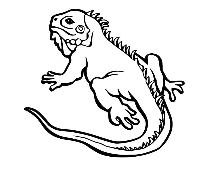 Iguane Gratuit Pour les Enfants coloring page