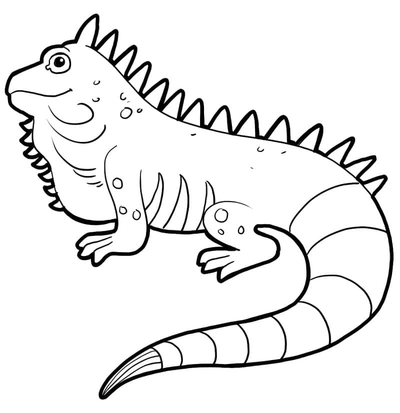 Iguane Souriant coloring page