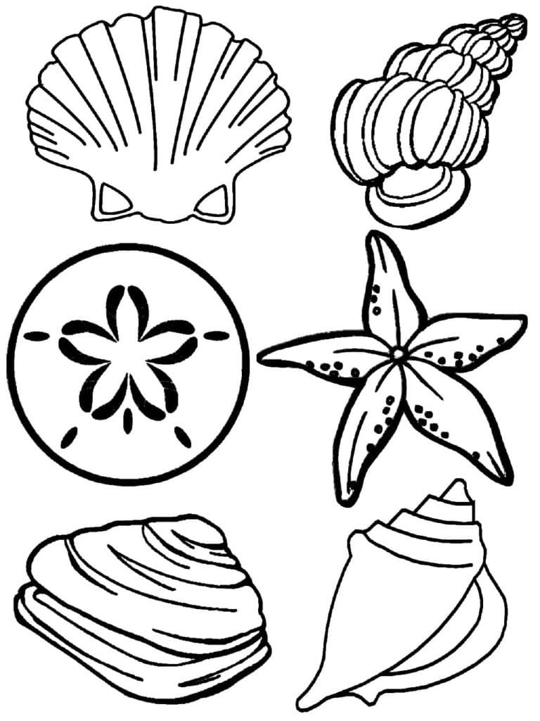 Image de Coquillages coloring page