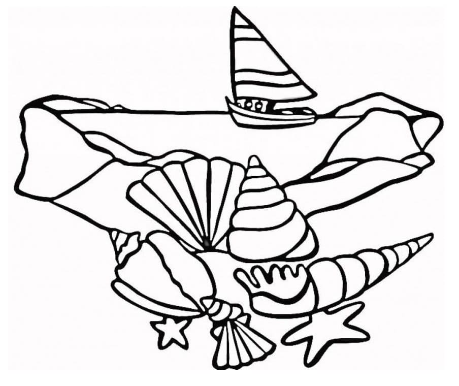 Jolis Coquillages coloring page