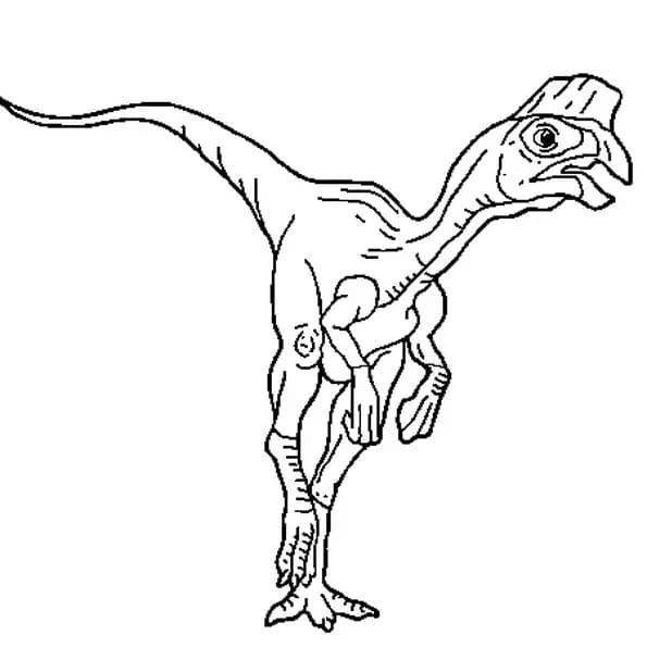 Coloriage Oviraptor Gratuit Pour les Enfants