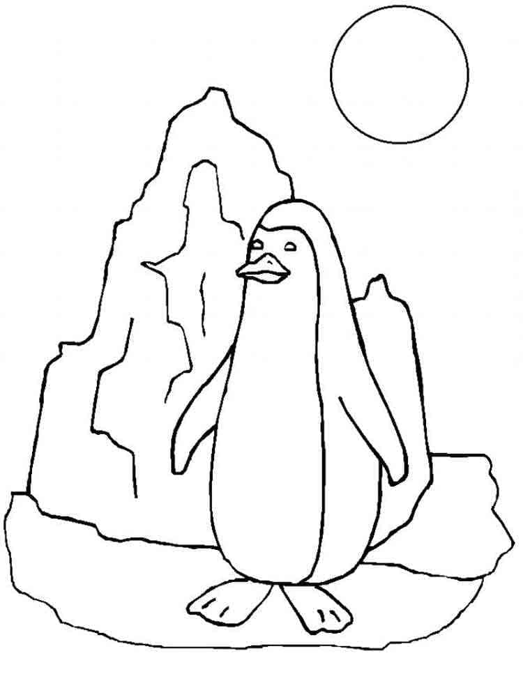 Coloriage Pingouin Pour Enfants