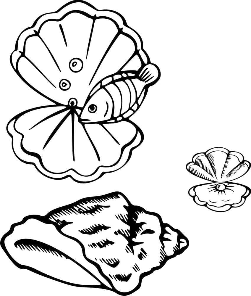 Poissons et Coquillages coloring page