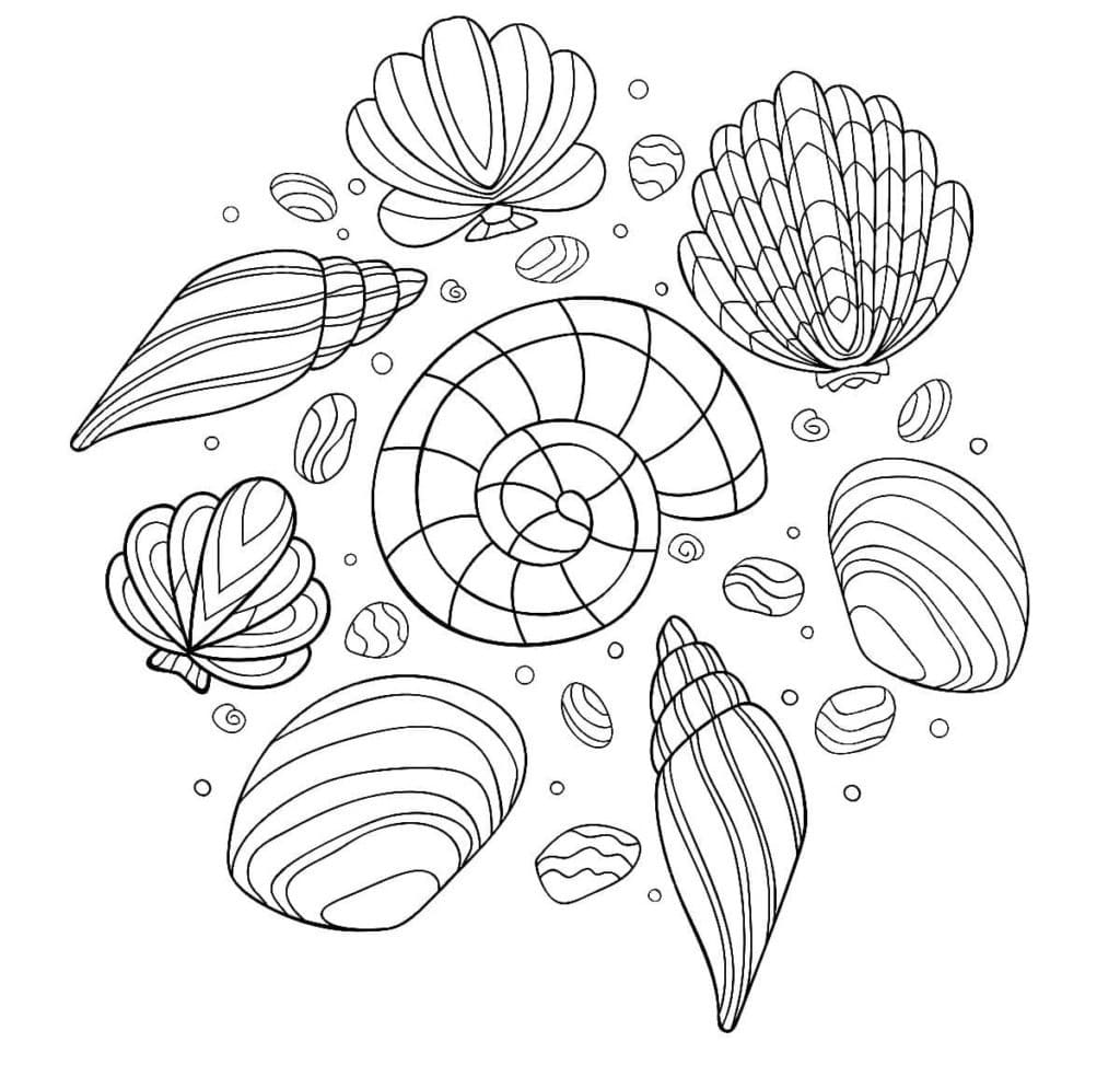 Très Beaux Coquillages coloring page