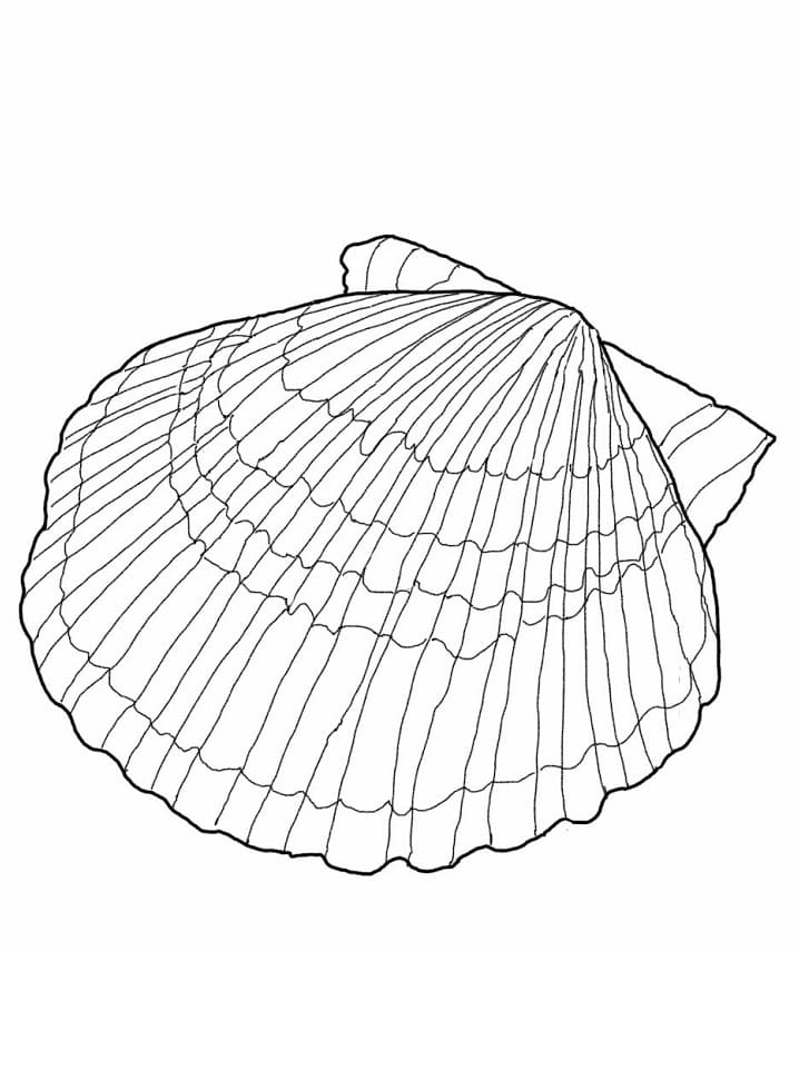 Un Coquillage coloring page