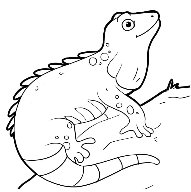Un Iguane Souriant coloring page