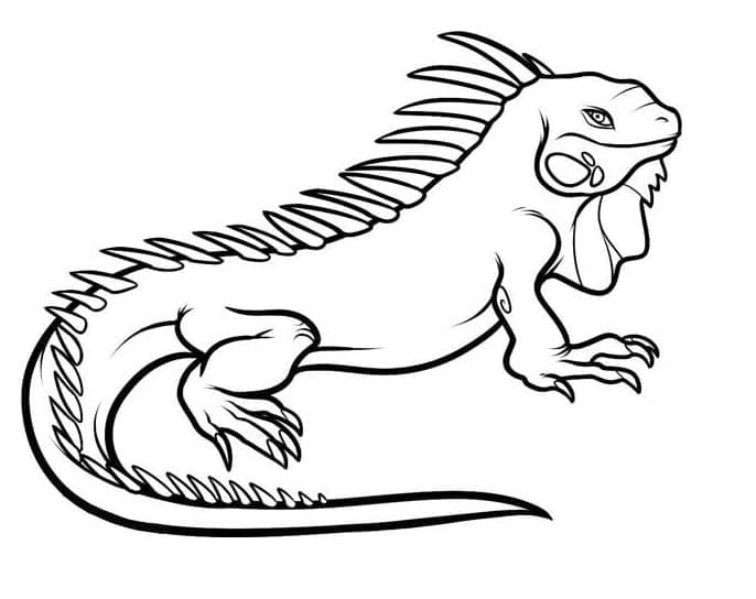 Un Iguane coloring page