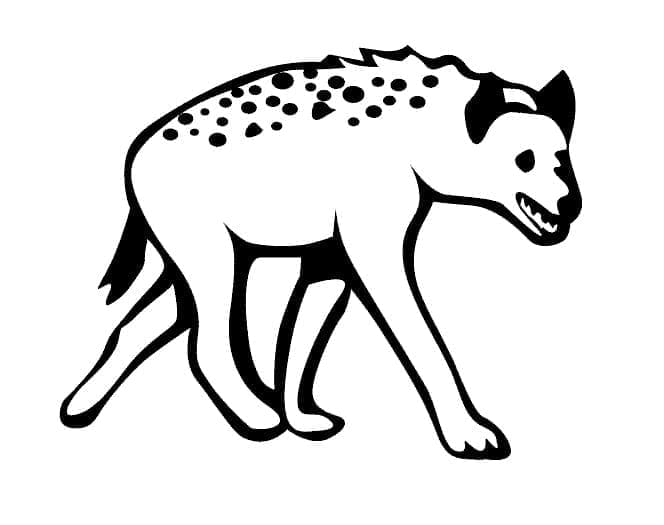 Coloriage Une Hyène