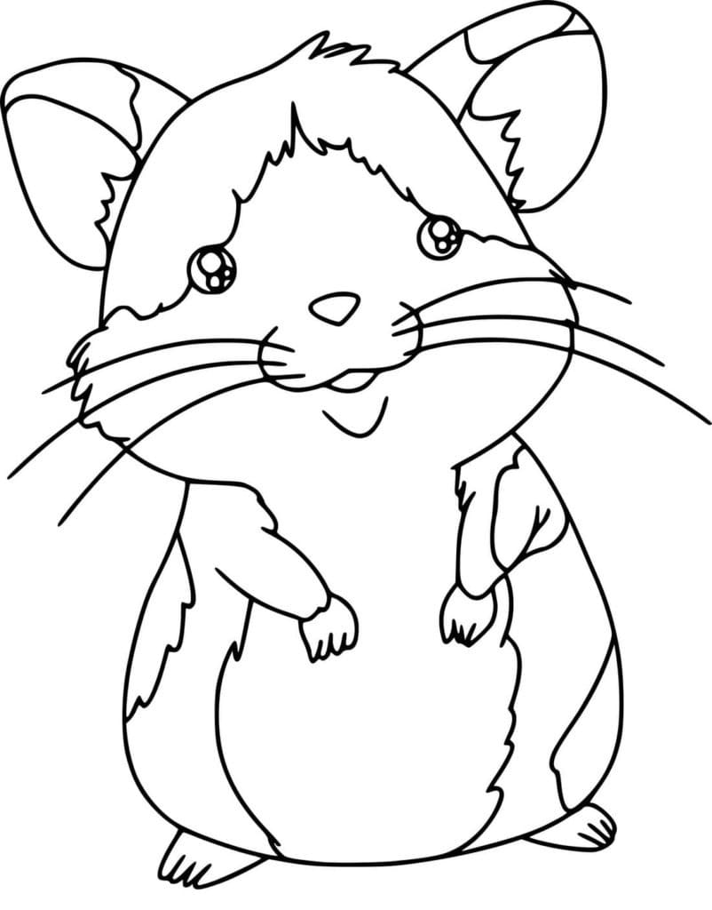 Adorable Hamster coloring page