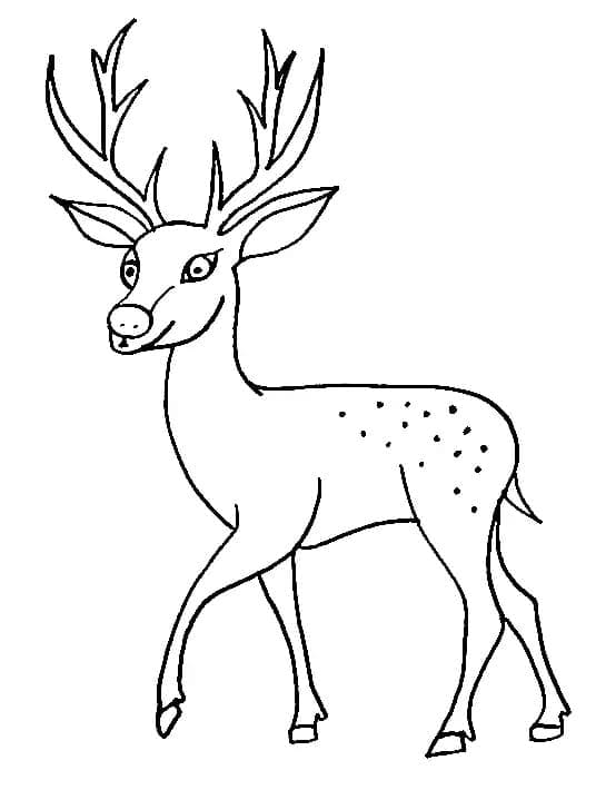 Cerf Curieux coloring page