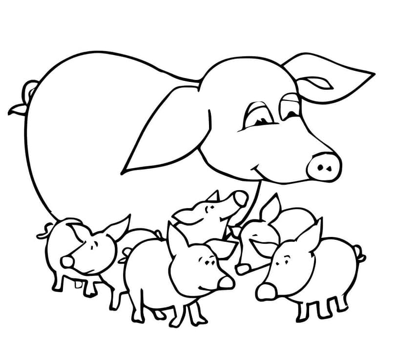 Cochon avec Porcelets coloring page