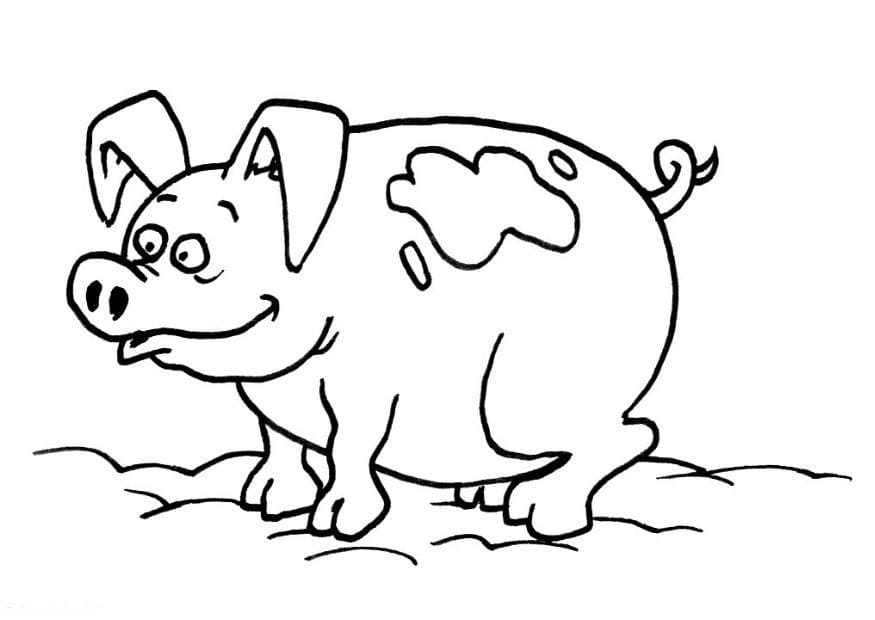 Cochon Curieux coloring page