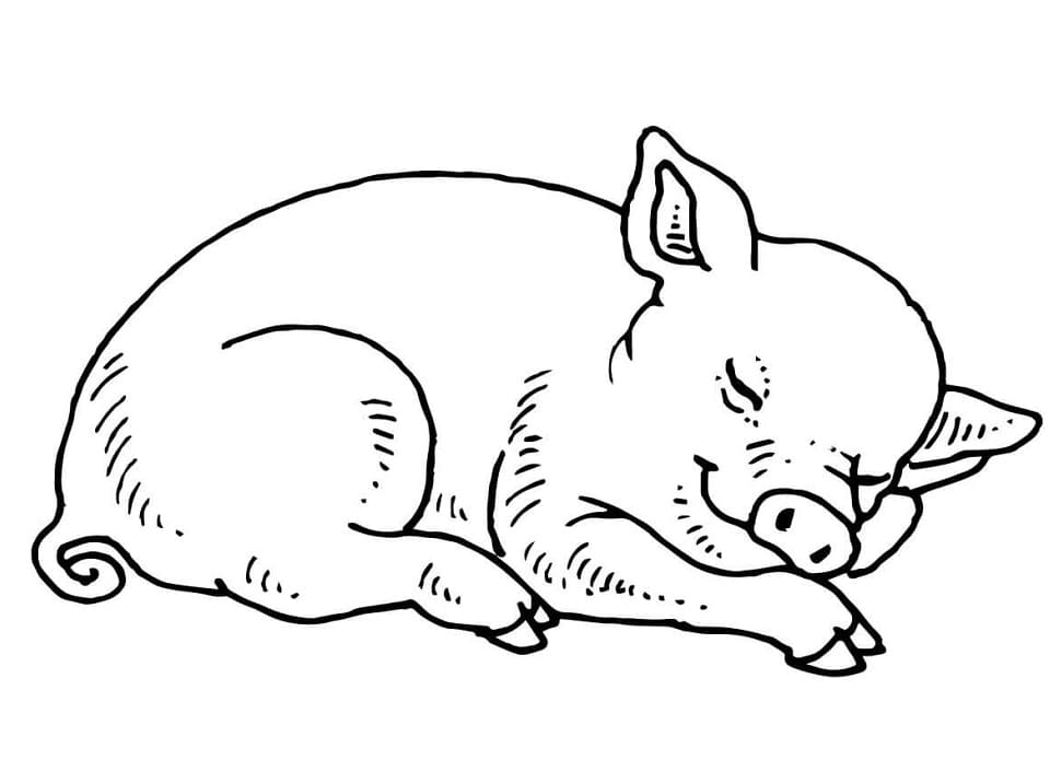 Coloriage Cochon Endormi