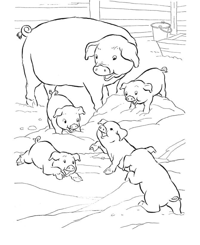 Cochon et Bébés Cochons coloring page