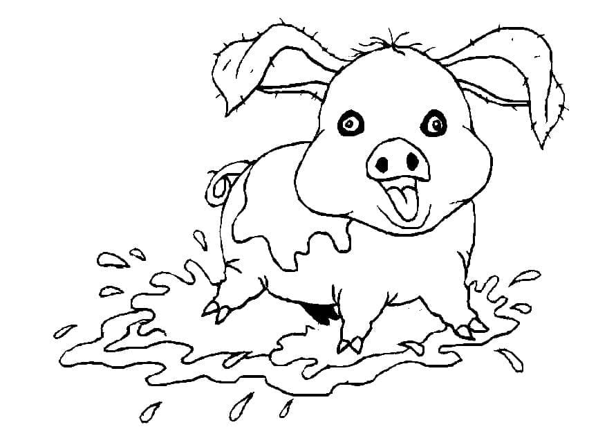 Cochon Stupide coloring page