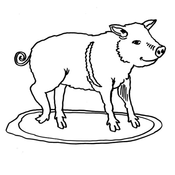 Dessin de Cochon Gratuit coloring page